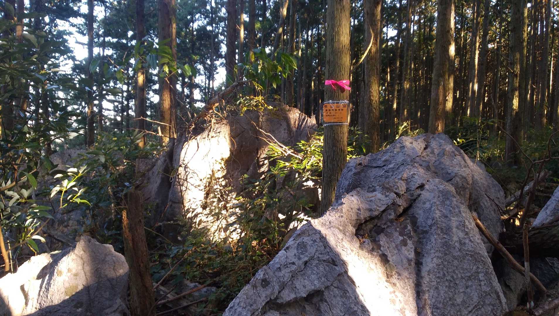 山頂風景です。