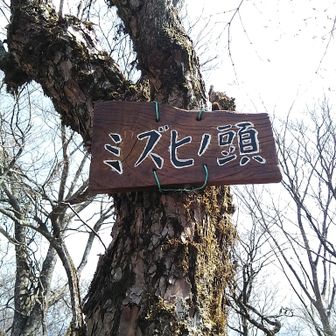 ミズヒノ頭、丸っこく心地よい山頂👍