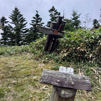 浦倉山にも寄ってみた。ひっそり…
眺望なく、木の間から四阿山が見えるけど写真に収めるには難しい🥲