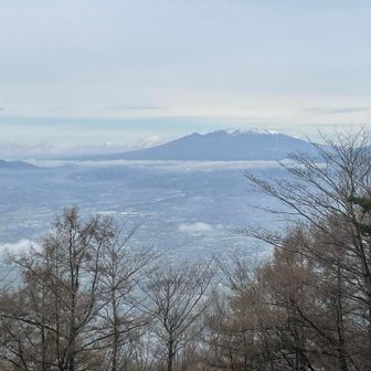 2つ前の写真から約15分後、雲海は消える。
下界の街並みが、よく見えるようになりました。
悩んださ、ゆっくり桜見ながら下山するか、
ピークハントしながら駆け降りるか、と。