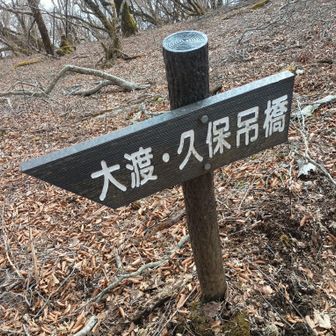 ついに久保吊尾根(茅尾根 バリ)と合流✨