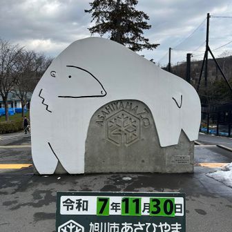 ここから動物園へ！
東門で年パス購入して正門からイン！