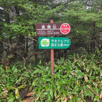 長い無用とばかりに退散した健脚2人の後を追いかけ下山