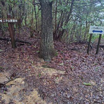 右が善光寺山方面、左は二子山の東屋へと続きます