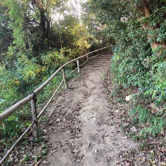 なだらかな道を登ります