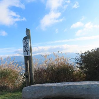 落合峠

一部抜粋
かつて吉野川流域の平野部と秘境・祖谷（いや）の谷を結ぶ重要な生活道路であった落合峠には、「あおばあさん」と呼ばれる黒い大ヘビが住み着いていたと言い伝えられています
▷▶私が見たのはこれでしょう😆✨️

ここからだけでも素晴らしい展望です
ただ、ここまで来るのがなかなか困難な道。
第一民家までは1時間🚗³₃かかるでしょう