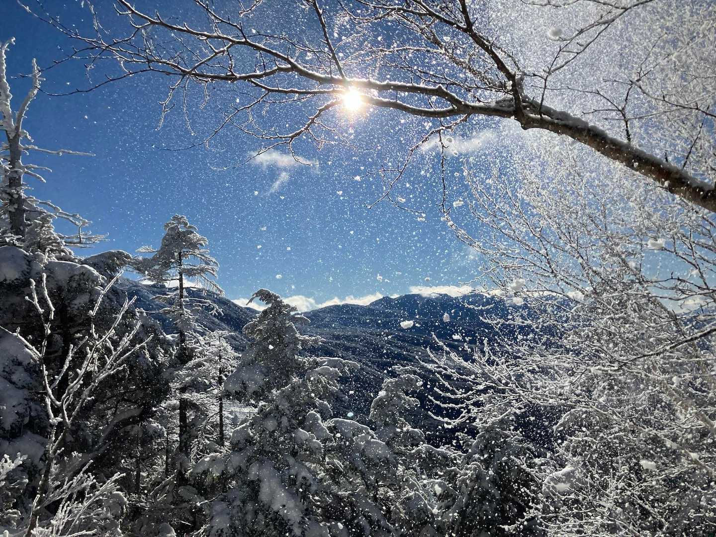 キラキラ