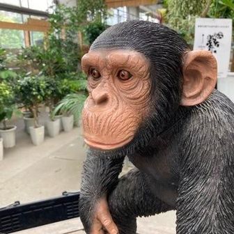 たけちゃん@Take-chanPlants