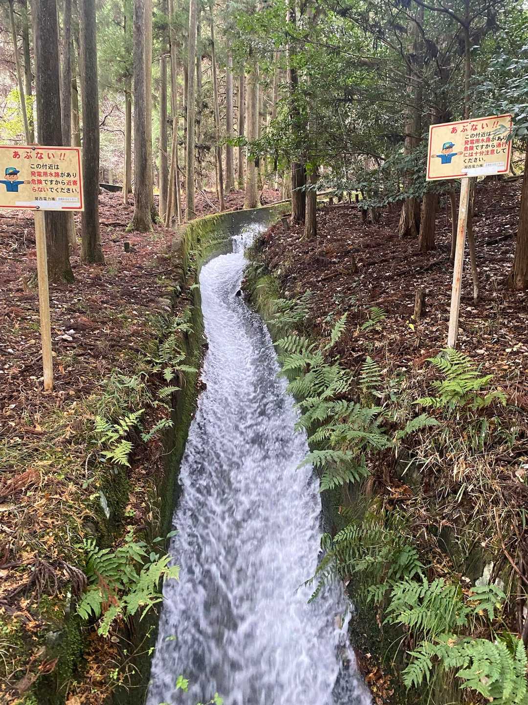 京都一周トレイル 北山西部コースの写真