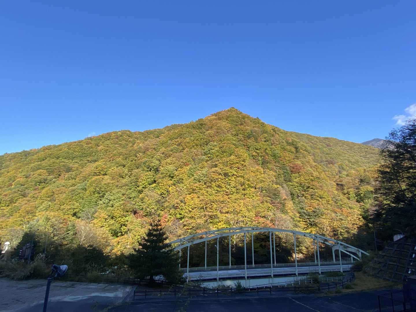 今日もいい天気～♪