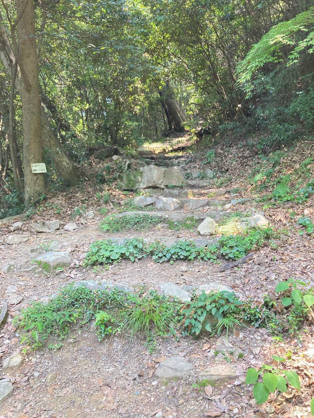 臥牛山 往復コースの写真