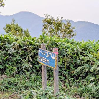 イチャンコッペ山から紋別岳を望む。