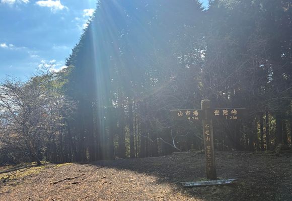 不老山の最新登山情報 / 人気の登山ルート、写真、天気など | YAMAP