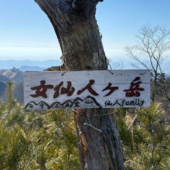 女仙人ヶ岳到着！
仙人ファミリーが描かれた山頂標識です。
これで以前、栃木方面から登ったルートとつながりました。
ヘットヘトです。
仙人ヶ岳は訪れているし景色もないので、本日はここまでとしました。
おそらくここは、仙人ファミリーの中で1番景色がいいです。