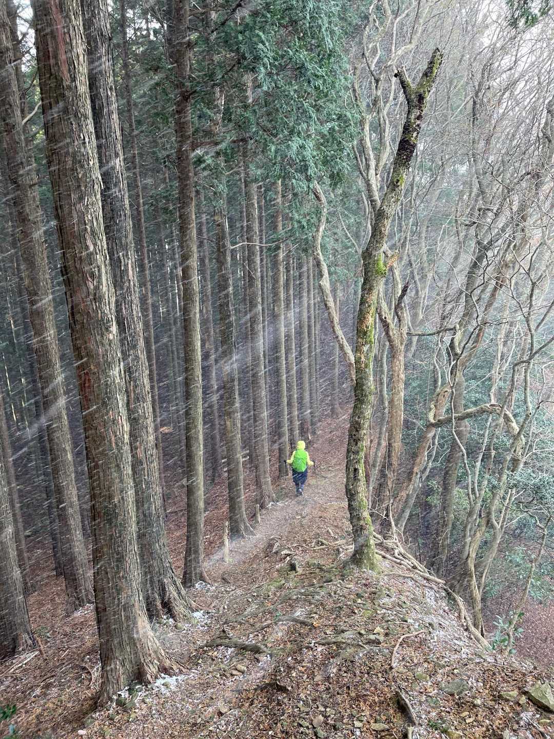 西側の尾根は吹き荒れております…🥶

明星ヶ岳本峰へ💨
