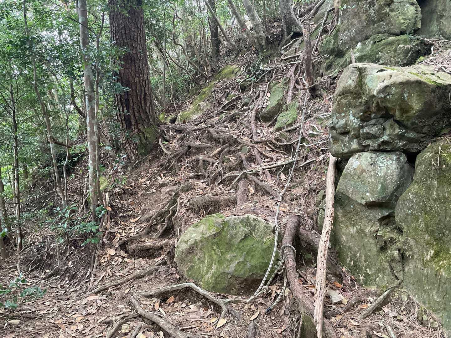 また急登💦