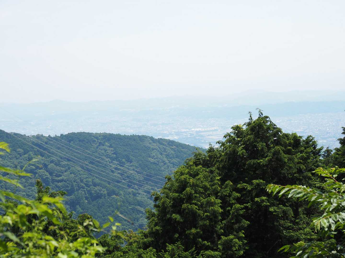 そこからの見晴らし