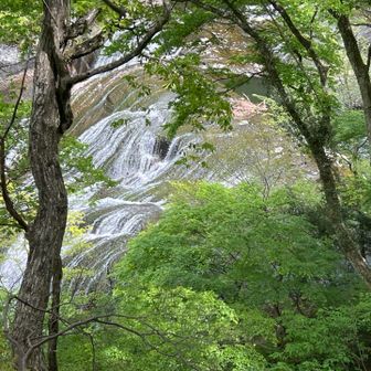 「袋田の滝」を横に眺めながら急な階段を降りて行きました。