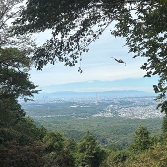 山頂からの絶景！