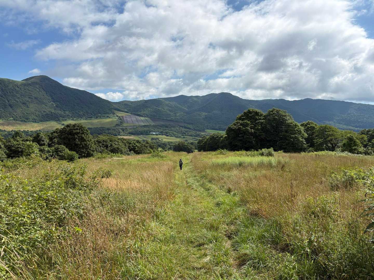 歩きやすい登山道だけど長いのなんの。。。
暑ぢ〜🔥
すでに汗だく💦💦
何合目から樹林だったっけ？
早く樹林に入りたい