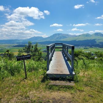 あ、山の習性でつい…失礼しました。

懸案の桟橋はこちらでございます～
