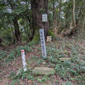 雨がパラパラ降ってきた