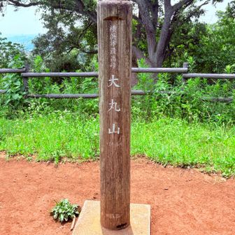 こちらは、横浜市最高峰