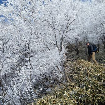 おーかわ‪‪