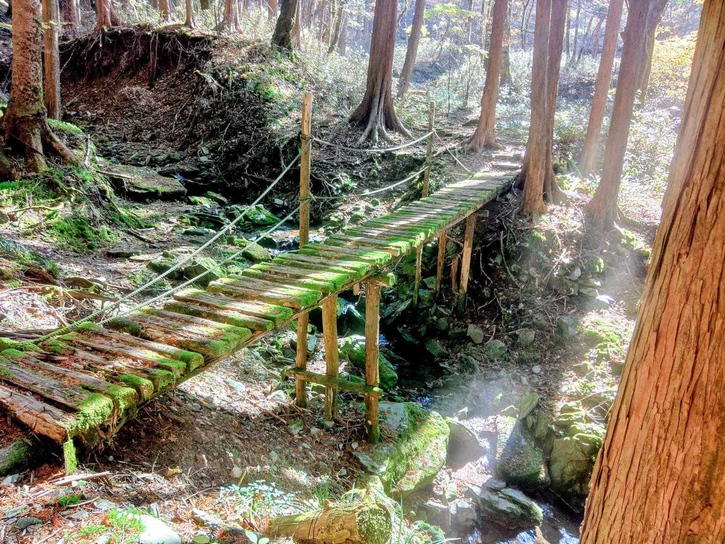 雰囲気のある木橋😁