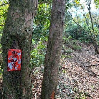 雲母峰山頂です。
