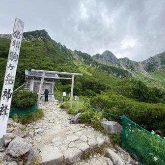 今回も無事に歩けました