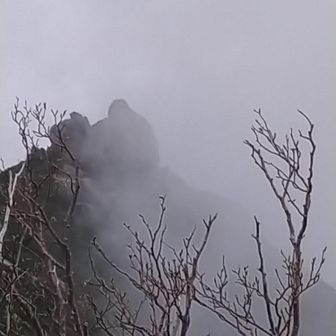行者岩はかろうじて見える。駒ヶ岳はガスで隠れていました。