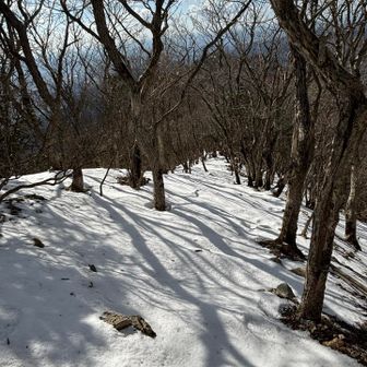 コーヒーも飲んだし、下山しよう


　　　　　〜　〜　〜　〜　〜


駐車場に戻ってザックの中を整理していたら、ザックの底から 忘れたはずのチェーンスパイクが出てきた💦　　（なんてこった）
