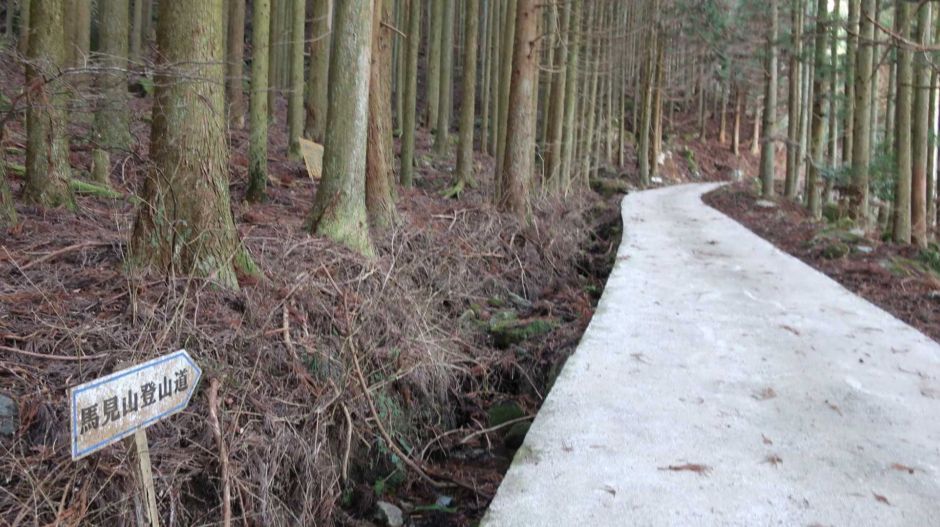 一旦林道に出る