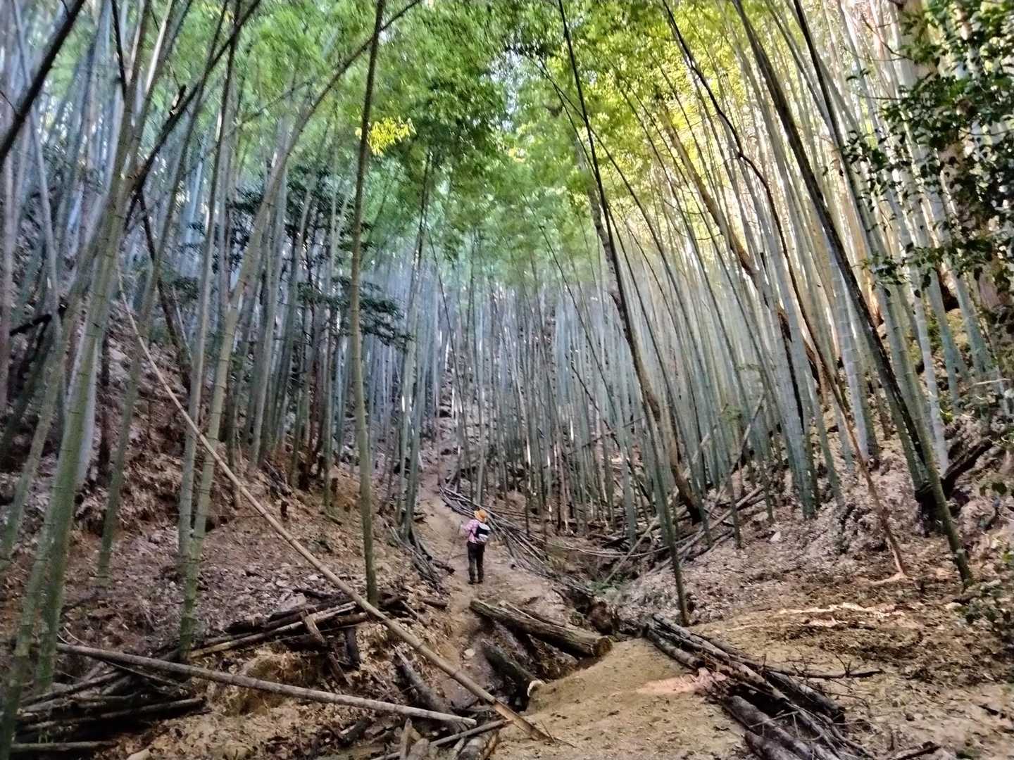 地面は良好です。