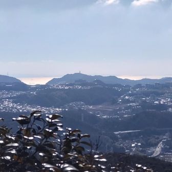 菊水山と高取山の間から見える海の輝きが綺麗だった✨