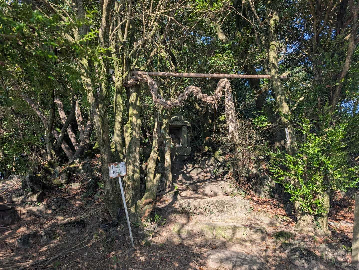 前方に祠が祀られてますよ🙏砥上神社⛩️の上宮かな？御参りして進みます🙇⤵️
