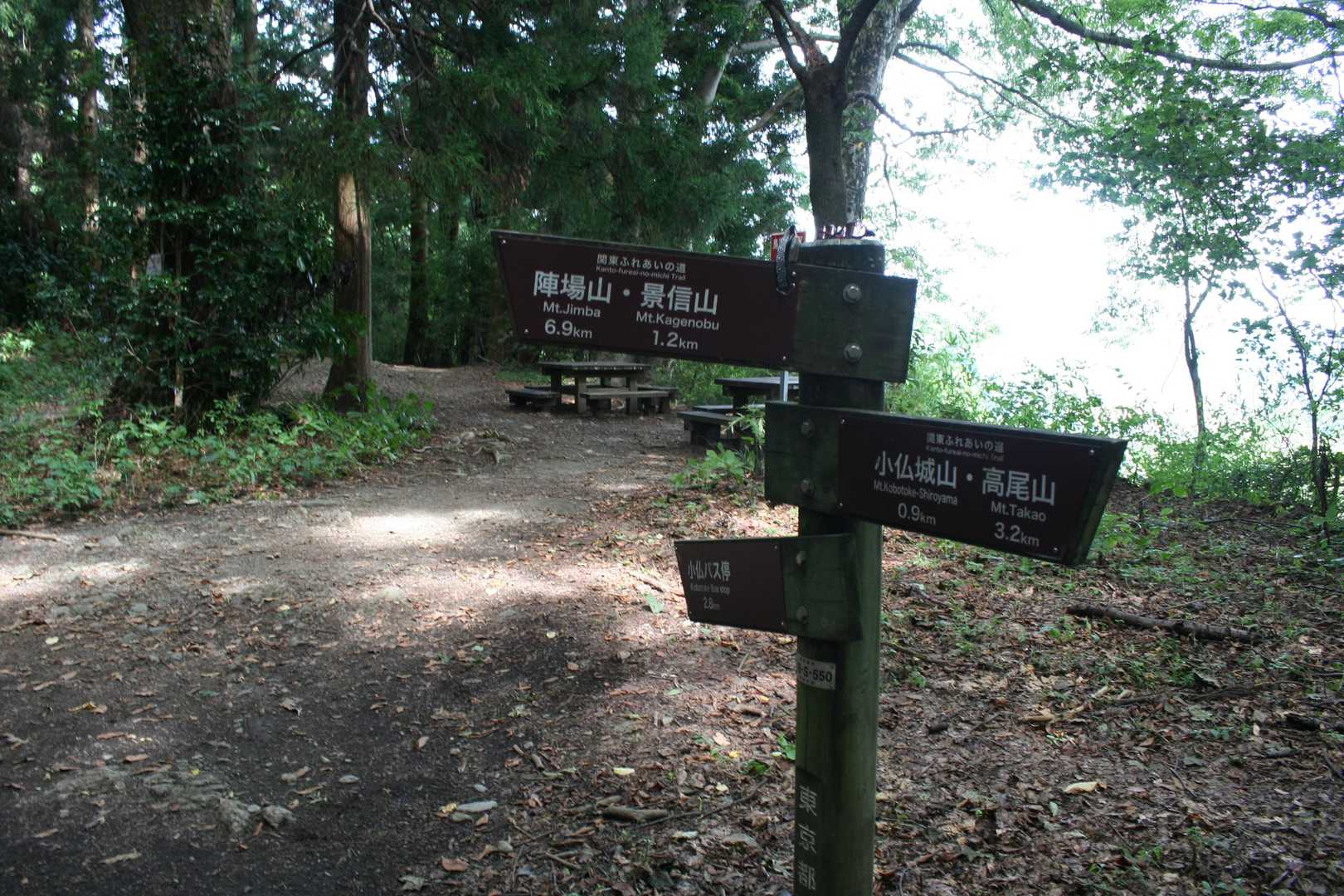 この先、相模湖に下りるか、小仏バス停に下りるか協議の上、小仏へ。バスに乗って高尾駅へ戻るさくせん。さあ、バスに間に合うかな？