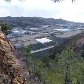 立岩付近。

暴風で木も揺れ怖い🌀