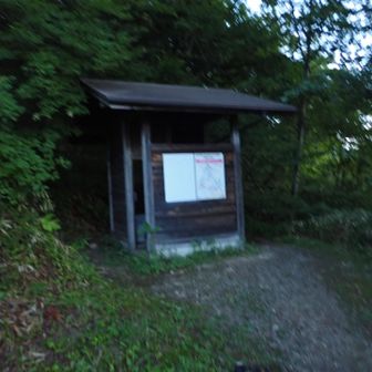 トイレの裏の急登を登る