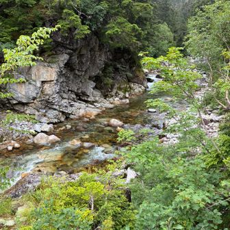 薬師沢。沢に降りる梯子がかかっていた。あまりに高いし(10メートル？)、雨でぬれてるし、降りるのは断念。