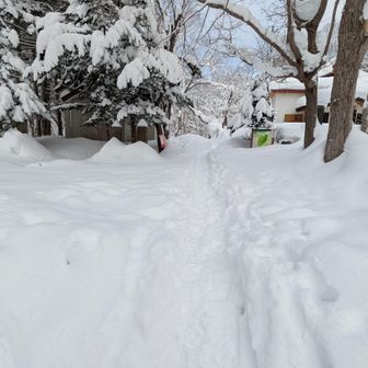 雪深かったのに、もう立派なトレースが!!!
ありがとうございます🙂‍↕️