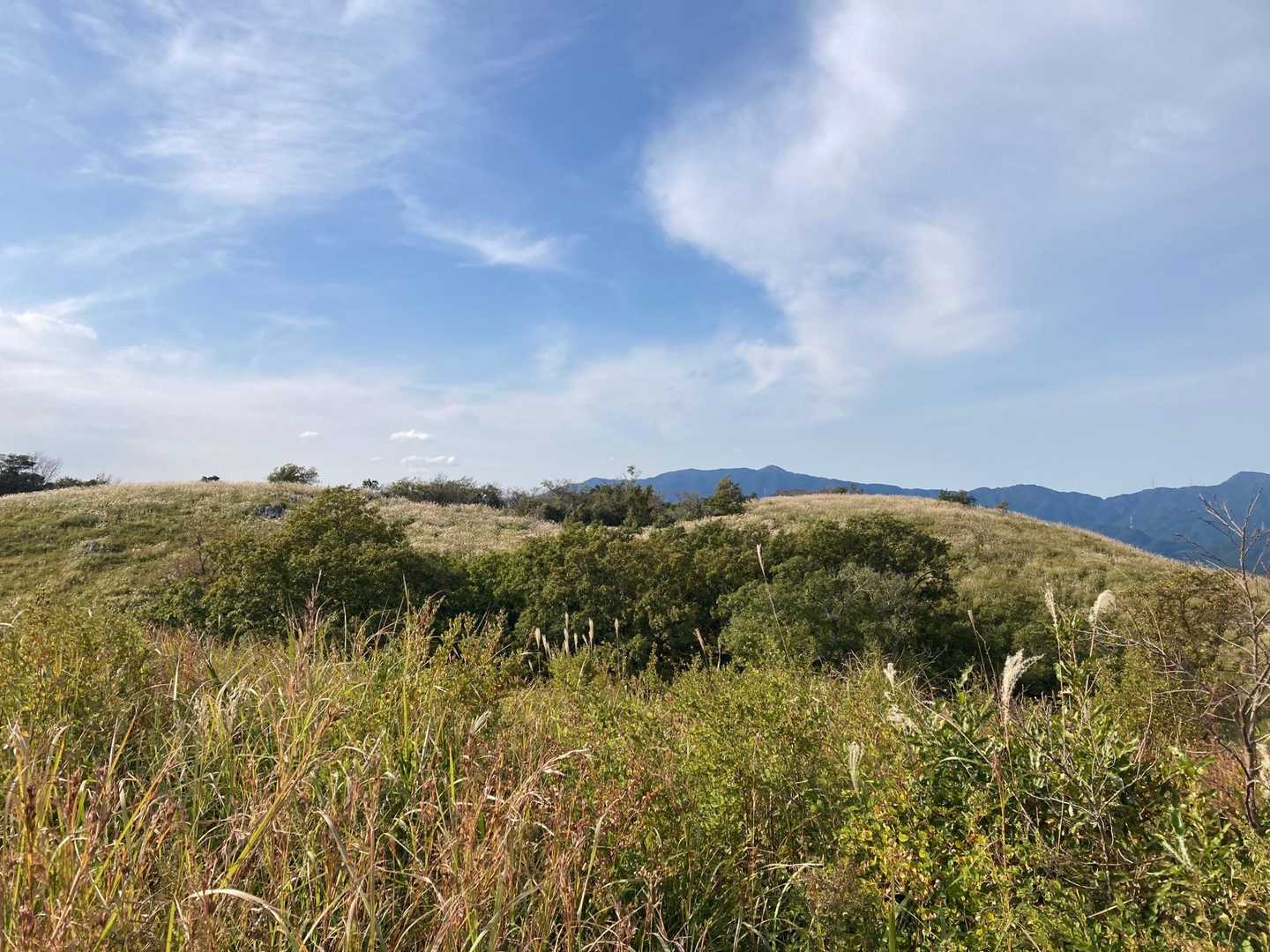 おはち山-西の西山 周回コースの写真