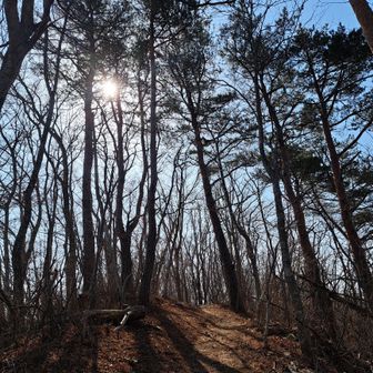 この先、多分先ほどの羽山登山口に続くんだろうな…。