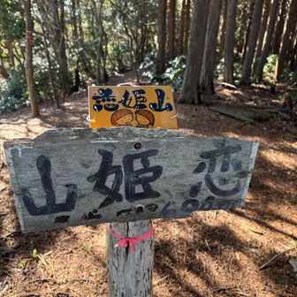 恋姫山、ここのプレートもかわいい😍
誰が作っているのかな？