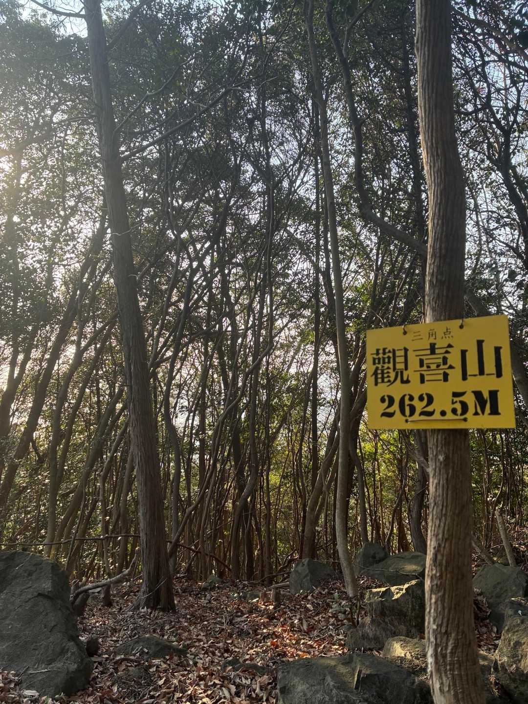 歓喜山とーちゃくです·͜·ᰔᩚ
日が傾いてきたー！
