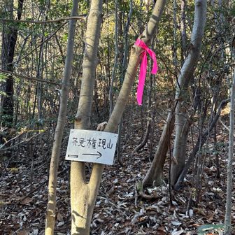 ここからピストンして戻ってきたよ