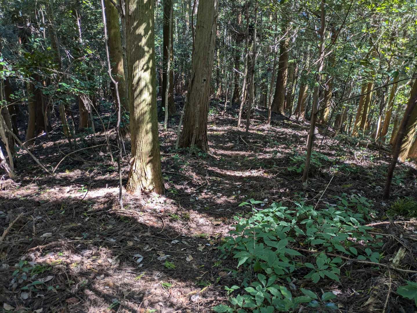 あとは、登った登山口を目指して戻って行くだけ。