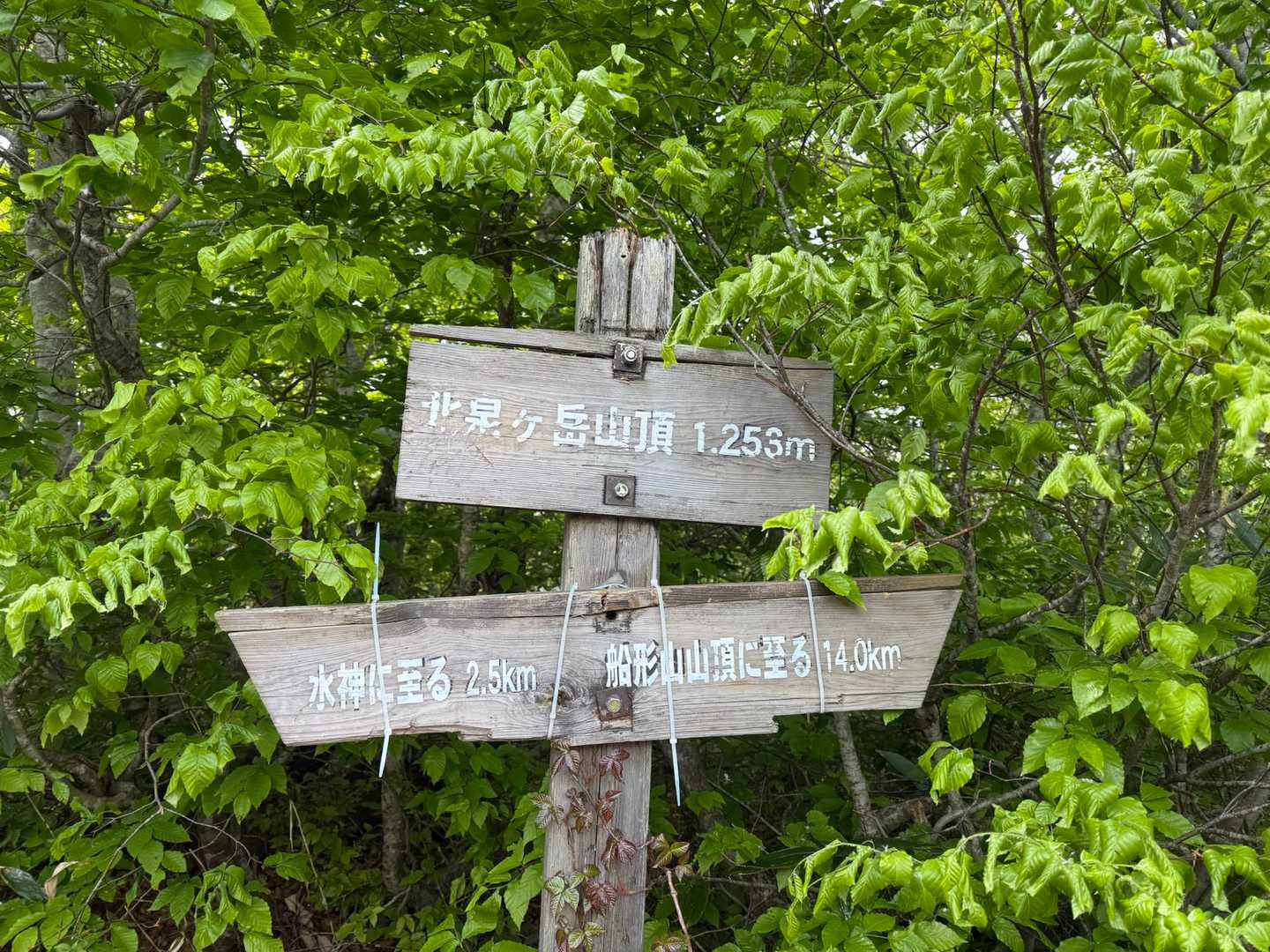 お分れ峠-泉ヶ岳-北泉ヶ岳 周回コースの写真