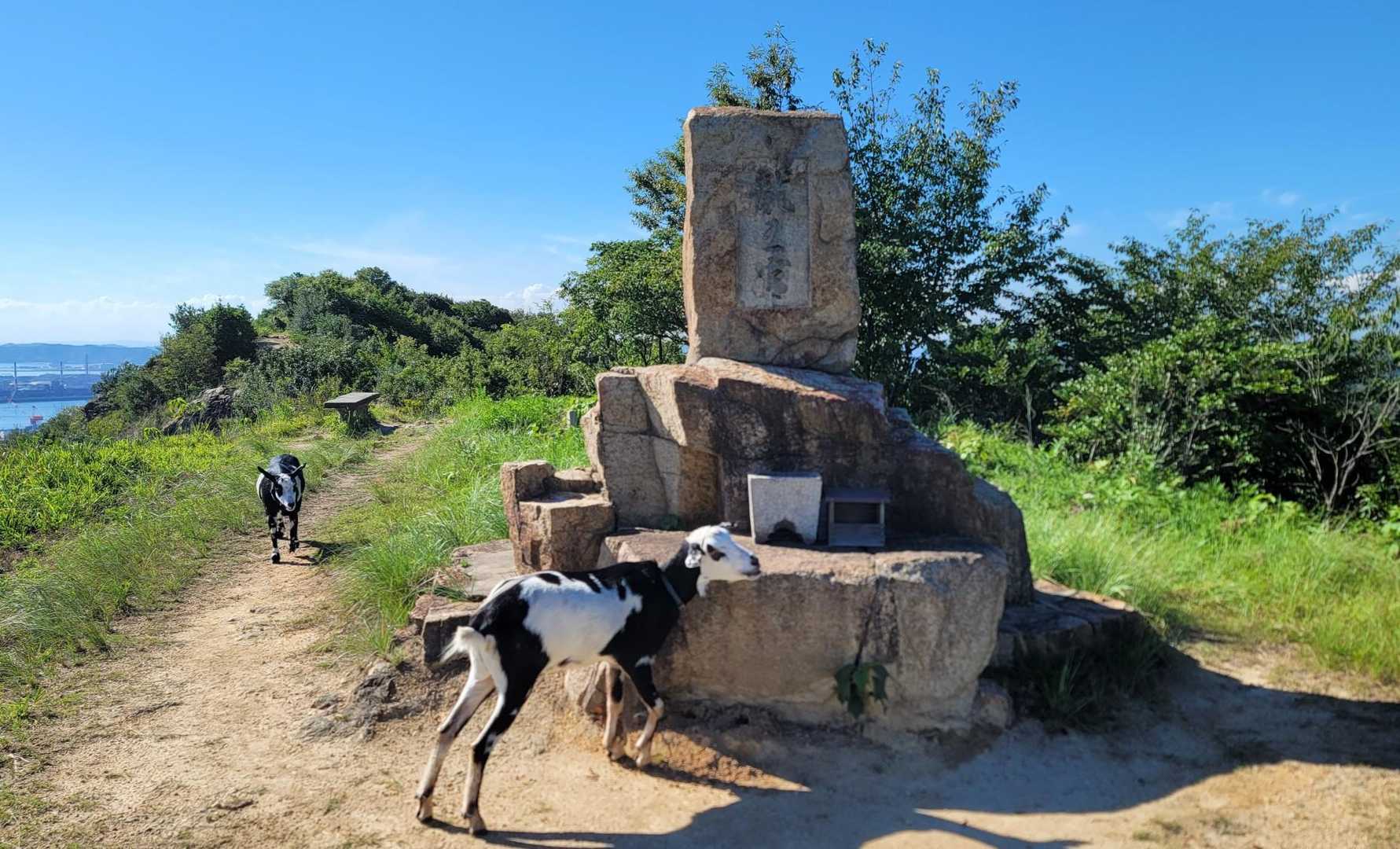 龍王宮⛩️に🐐🐐